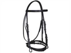 Dever Flash Bridle