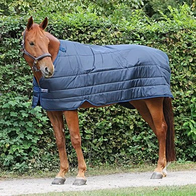 Horseware Liner 300g 1 Horseware Liner 300g