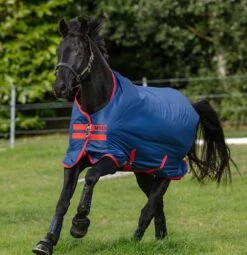 Amigo Mio Turnout Medium