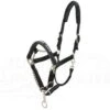 LeMieux Pro-Safe Head Collar