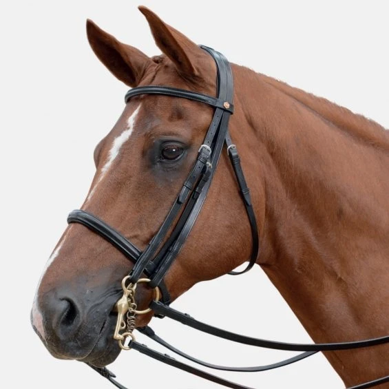 Albion KB Weymouth Headstall - Competition 1 Albion KB Weymouth Headstall - Competition