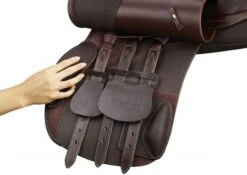 Arena General Purpose -Equestrian Supplies 14043d