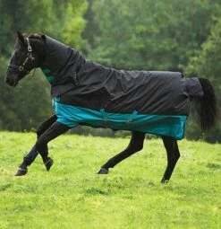 Amigo Mio All In One Medium