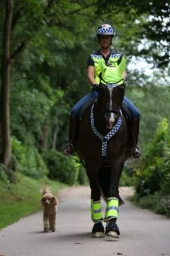 EquiSafety Polite Leg Boots 3 EquiSafety Polite Leg Boots -Equestrian Supplies 14289b