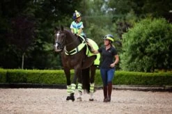 EquiSafety Quilted Leg Boots -Equestrian Supplies 14290c