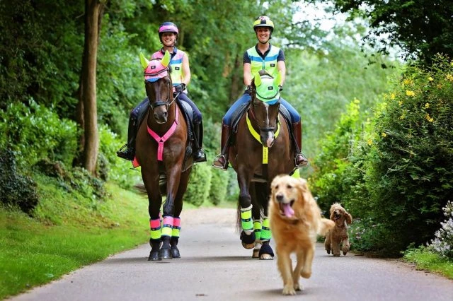 EquiSafety Reflective Neck Band 3 EquiSafety Reflective Neck Band - Image 3