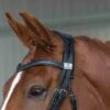 Fairfax Headpiece - Snaffle Bridle