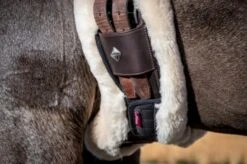 LeMieux Lambswool Anatomic Girth Cover