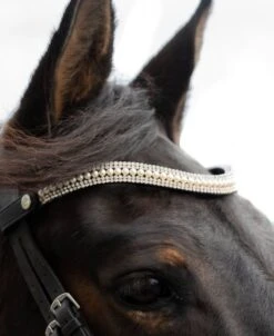 Ecorider Freedom Grace Browband