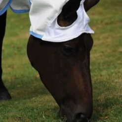 Weatherbeeta Comfitec Sweet Itch Shield Combo Neck 12 Weatherbeeta Comfitec Sweet Itch Shield Combo Neck -Equestrian Supplies 14618d