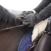 Cameo Equine Competition Gloves