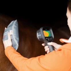 Equilibrium Massage Mitt Hotspot -Equestrian Supplies 14657c