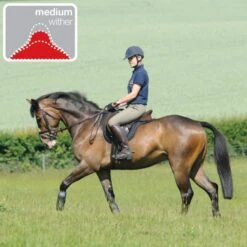 Thorowgood T8 Dressage Moveable Block -Equestrian Supplies 14662d