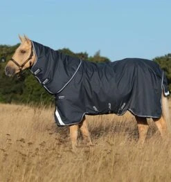 Amigo Bravo 12 Plus Turnout Heavy -Equestrian Supplies 15056c