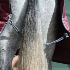 Weatherbeeta Comfitec 210D Channel Quilt Combo Neck Medium -Equestrian Supplies 15133c