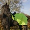 Cameo Equine Wrap Around Exercise Sheet