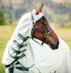 Rambo Hoody -Equestrian Supplies 15810c