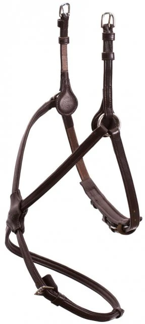 Schockemohle Rio Select Grackle Noseband 2 Schockemohle Rio Select Grackle Noseband - Image 2