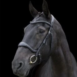 Ecorider Ecosoft Enigma Bridle -Equestrian Supplies 16001c