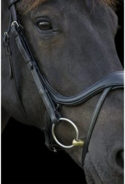 Ecorider Ecosoft Enigma Bridle -Equestrian Supplies 16001f