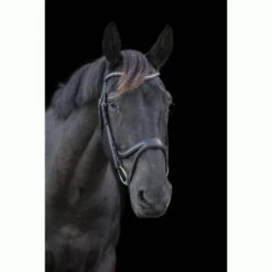 Ecorider Ecosoft Acclaim Bridle -Equestrian Supplies 16002c