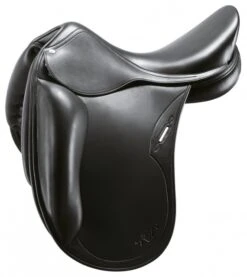 Equipe Oracle Special SF