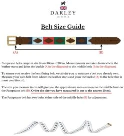 Pampeano & Darley Lifestyle Royal Signals Polo Belt -Equestrian Supplies 16107d