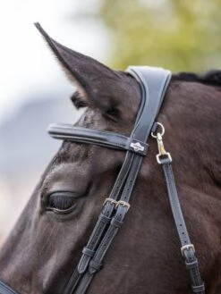 LeMieux Work Bridle -Equestrian Supplies 16206d