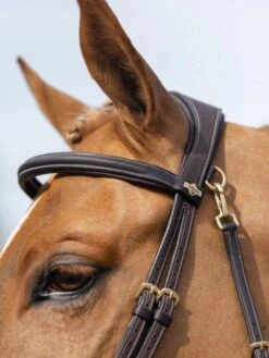 LeMieux Work Bridle -Equestrian Supplies 16206e