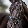 LeMieux Classic Dressage Bridle