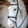 LeMieux Competition Flash Bridle