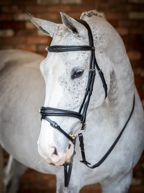 LeMieux Competition Flash Bridle 1 LeMieux Competition Flash Bridle