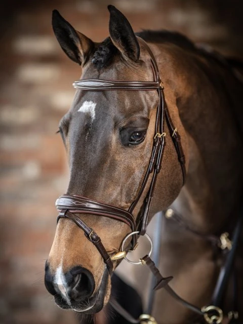 LeMieux Competition Flash Bridle 4 LeMieux Competition Flash Bridle - Image 4