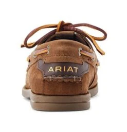Ariat Antigua - Chocolate Brown 9 Ariat Antigua - Chocolate Brown -Equestrian Supplies 16335c