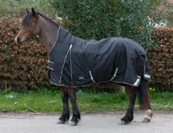 Cameo Equine Half Neck Turnout 200g