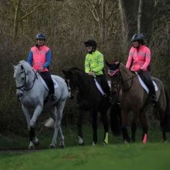 Weatherbeeta Reflective Light Weight Waterproof Jacket -Equestrian Supplies 16750d