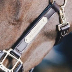 Kentucky Anatomic Leather Head Collar 5 Kentucky Anatomic Leather Head Collar -Equestrian Supplies 17311c