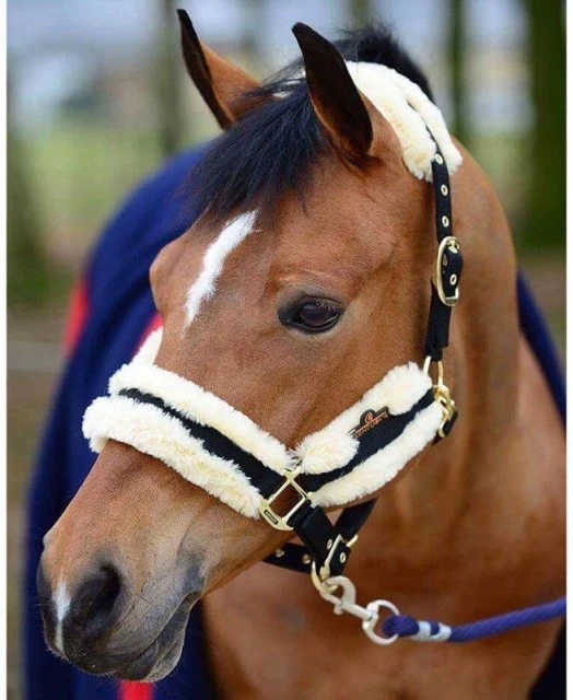 Kentucky Nylon Sheepskin Head Collar 2 Kentucky Nylon Sheepskin Head Collar - Image 2