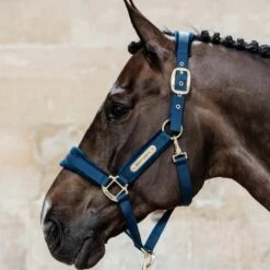Kentucky Velvet Head Collar -Equestrian Supplies 17315c