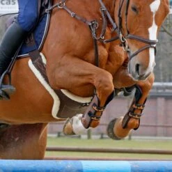 Kentucky Sheepskin Stud Girth -Equestrian Supplies 17319c