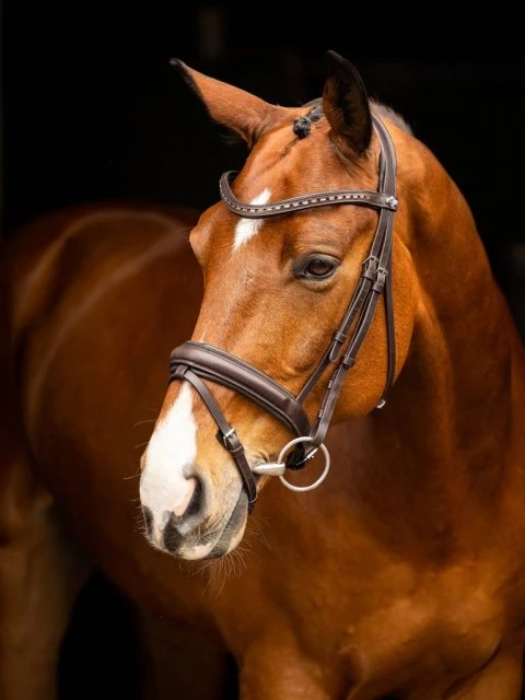 LeMieux Arika Dressage Bridle 2 LeMieux Arika Dressage Bridle - Image 2