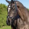 LeMieux Arika Drop Bridle