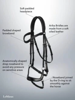 LeMieux Arika Drop Bridle -Equestrian Supplies 17779f