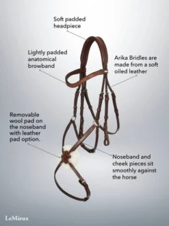 LeMieux Arika Grackle Bridle -Equestrian Supplies 17781d