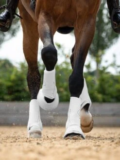 LeMieux Motionflex Dressage Boot 7 LeMieux Motionflex Dressage Boot -Equestrian Supplies 17900d
