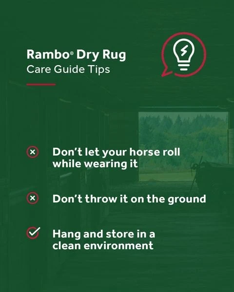 Rambo Dry Rug 5 Rambo Dry Rug - Image 5