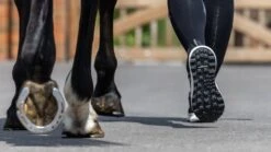 LeMieux Trax Waterproof Trainer - Black -Equestrian Supplies 18034g