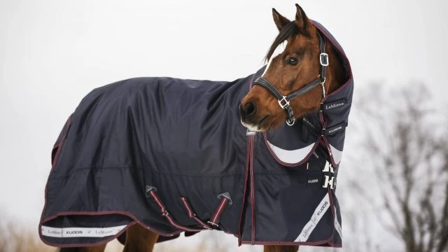 LeMieux Kudos Turnout Rug - 200g 2 LeMieux Kudos Turnout Rug - 200g - Image 2