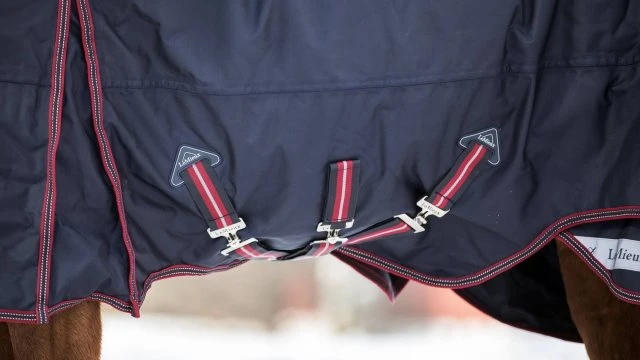 LeMieux Kudos Turnout Rug - 200g 4 LeMieux Kudos Turnout Rug - 200g - Image 4