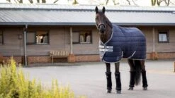 LeMieux Arika Stable-Tek - 200g 5 LeMieux Arika Stable-Tek - 200g -Equestrian Supplies 18251c